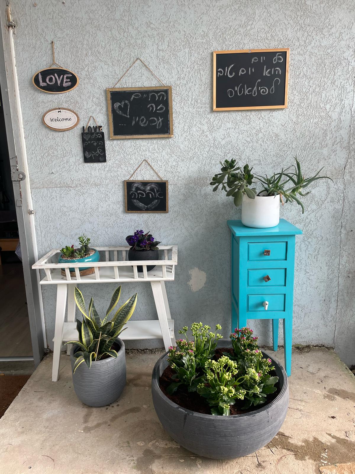 Roga Lach Pilates Studio - Gallery image 1 showing Pilates exercises and studio space